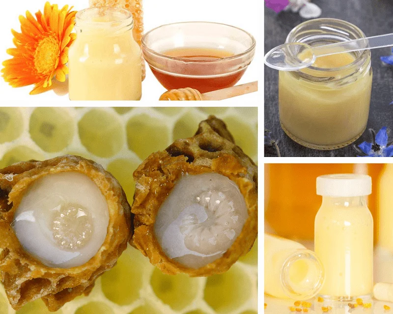 2022 Wholesales Tasabee Royal Jelly Factory Supplier Bee Products Healthcare Organic Fresh Royal Jelly