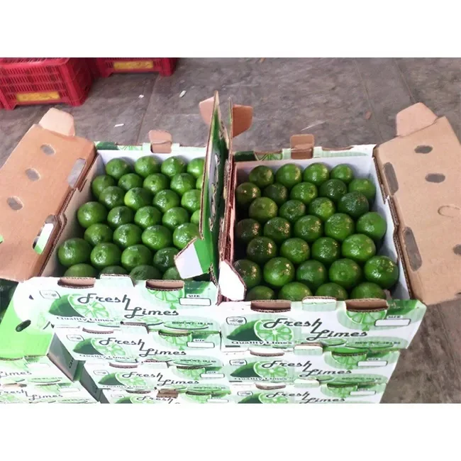 Fresh lime - fresh Lemon all sizes cheap price from USA