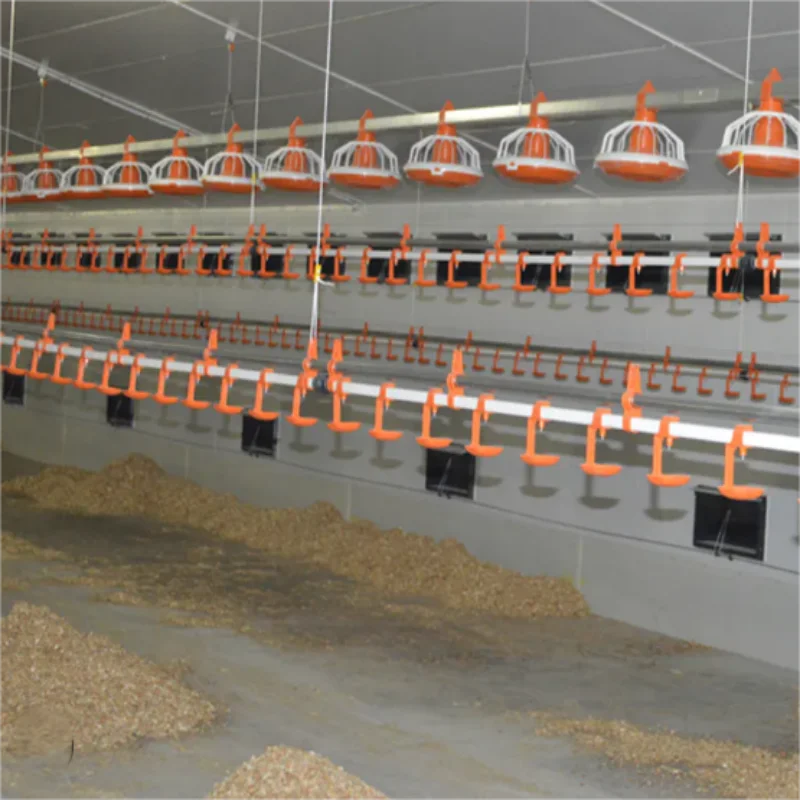 Thermal Insulation Air Convection Poultry Farming Animal Shed Steel Structure Building Chicken Cow House