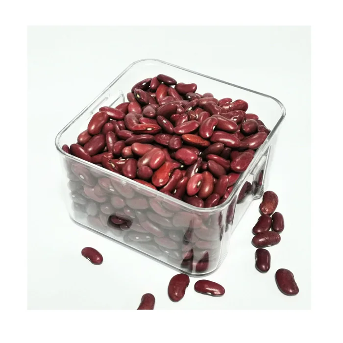 Wholesale Dark Red Kidney Beans With Export High Quality Small for Whole