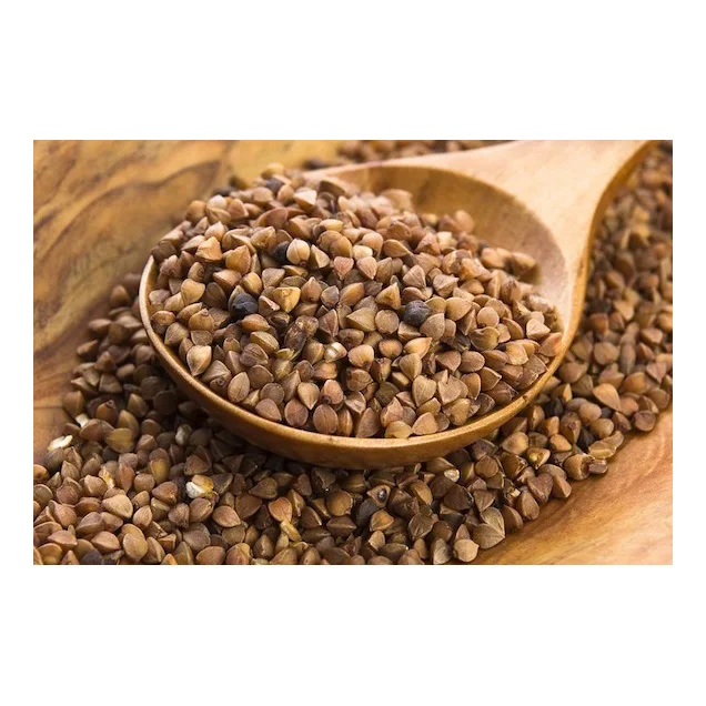 wholesale organic buckwheat green buckwheat gluten free buckwheat grain wholesale hulled buckwheat / Buckwheat grain / buckwheat
