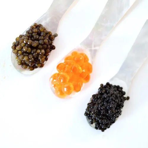 Frozen Pink Salmon Roe For Sale