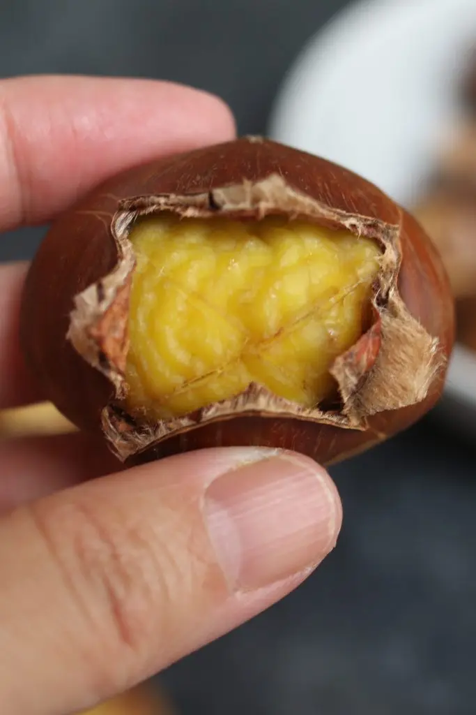 Заводской Прямой поставщик вкусных грудных орехов свежие сырые