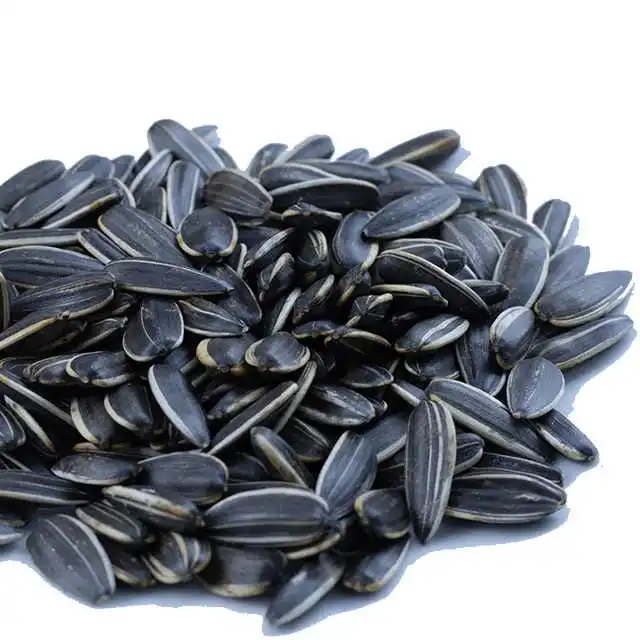 100% Organic Natural Raw & Unroasted Sunflower Seeds 200gm for Eating High in Protein & Fibre