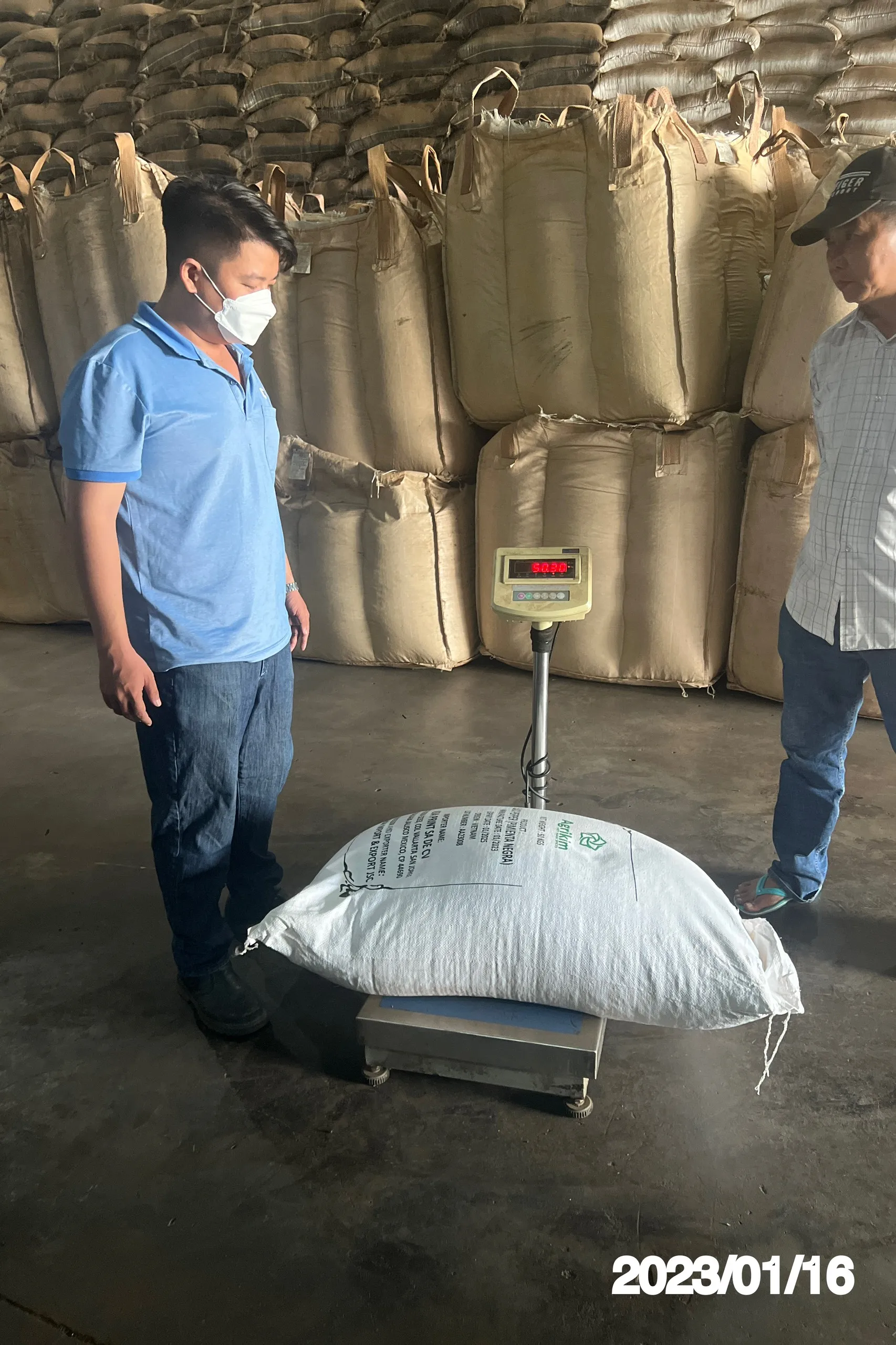 High Quality Black Pepper FAQ or ASTA/MC 200/300/400/500/550/570/580/600 GL the best price from Vietnam supplier  +84 363 565928