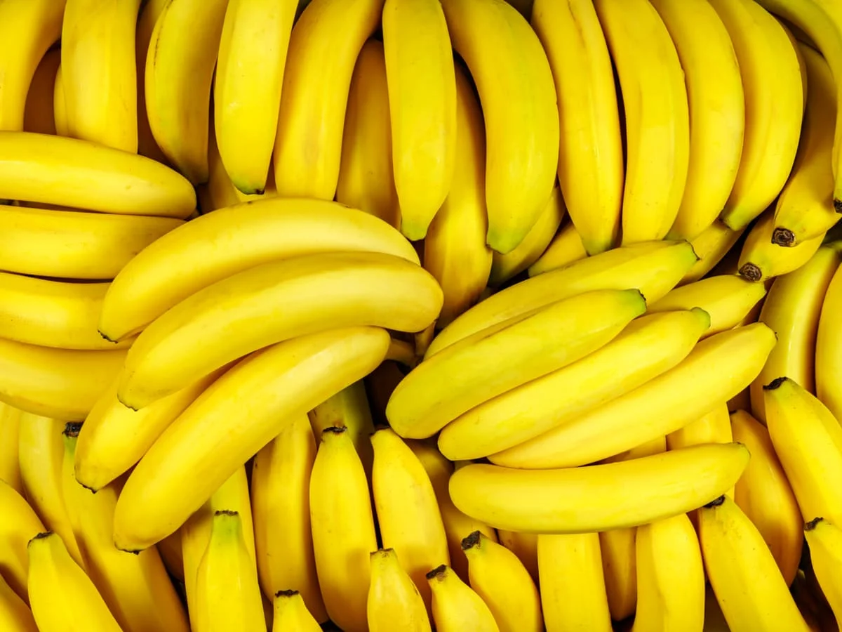 CANVEDISH BANANA VIETNAM- Fresh Banana with best quotation / Vietnam Agriculture Food CO., LTD