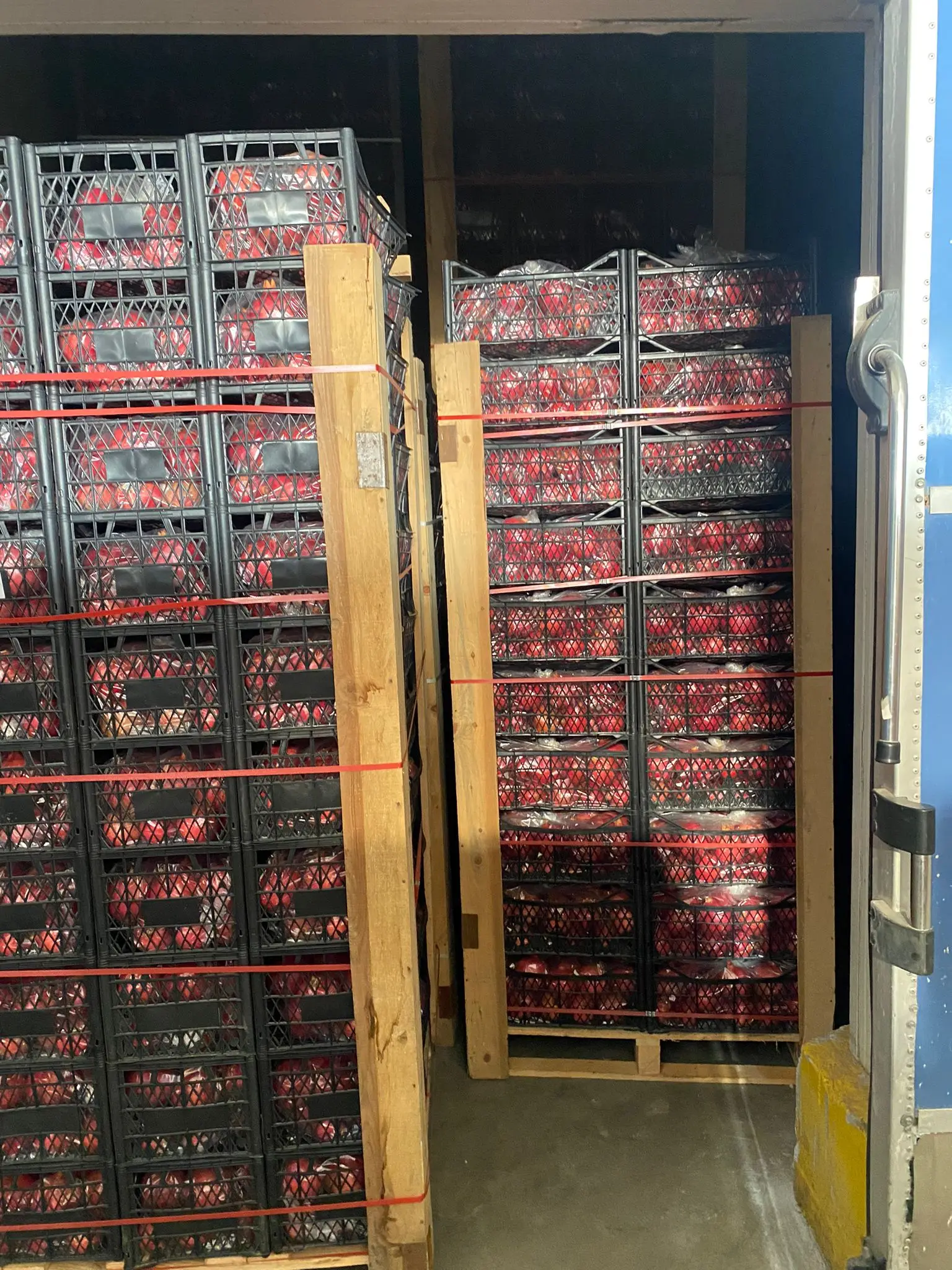 Fresh Turkish Fruits Pomegranade Red Colour Number 1 Quality %100 Organic Fresh Turkish  Pomegranade Best Quality In Turkey Dark