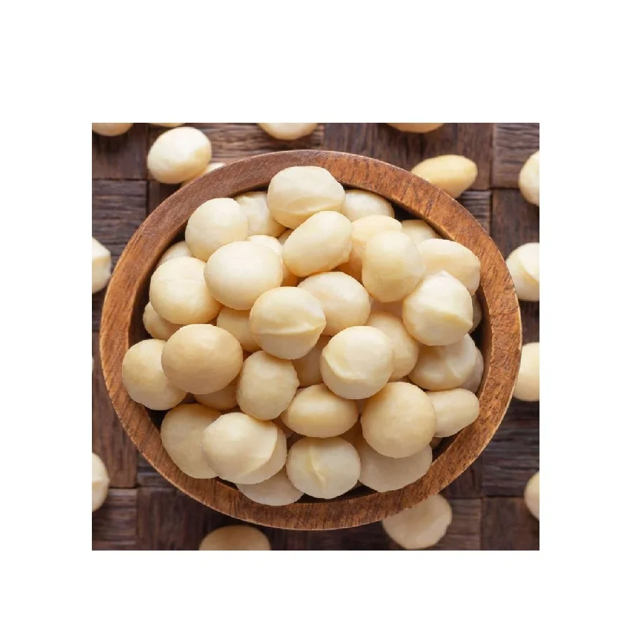 Macadamia Nuts Wholesale High Quality Organic Ready To Eat Healthy Food. Oem Service From Manufacturer
