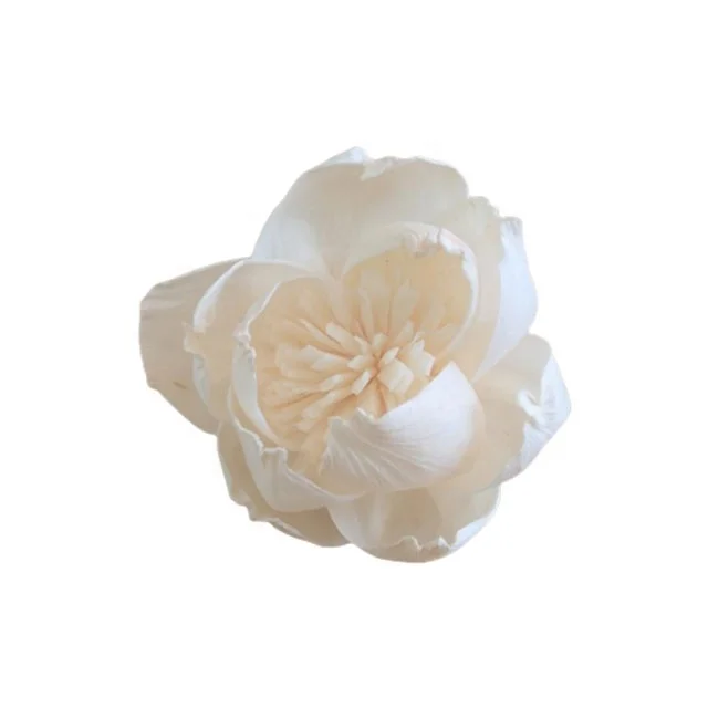 Peony with Pollen Sola Wood Flowers Artificial Dried Wholesale Handicraft Home Decor Decoration Thailand Reed Diffuser