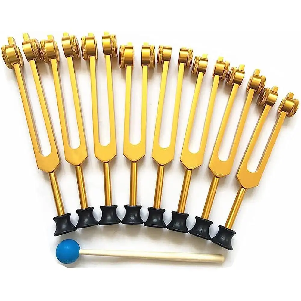 Surgical Tuning Forks Set 128 256 512Hz Medical Sound Healing Therapy Musical Instruments Hearing Tools