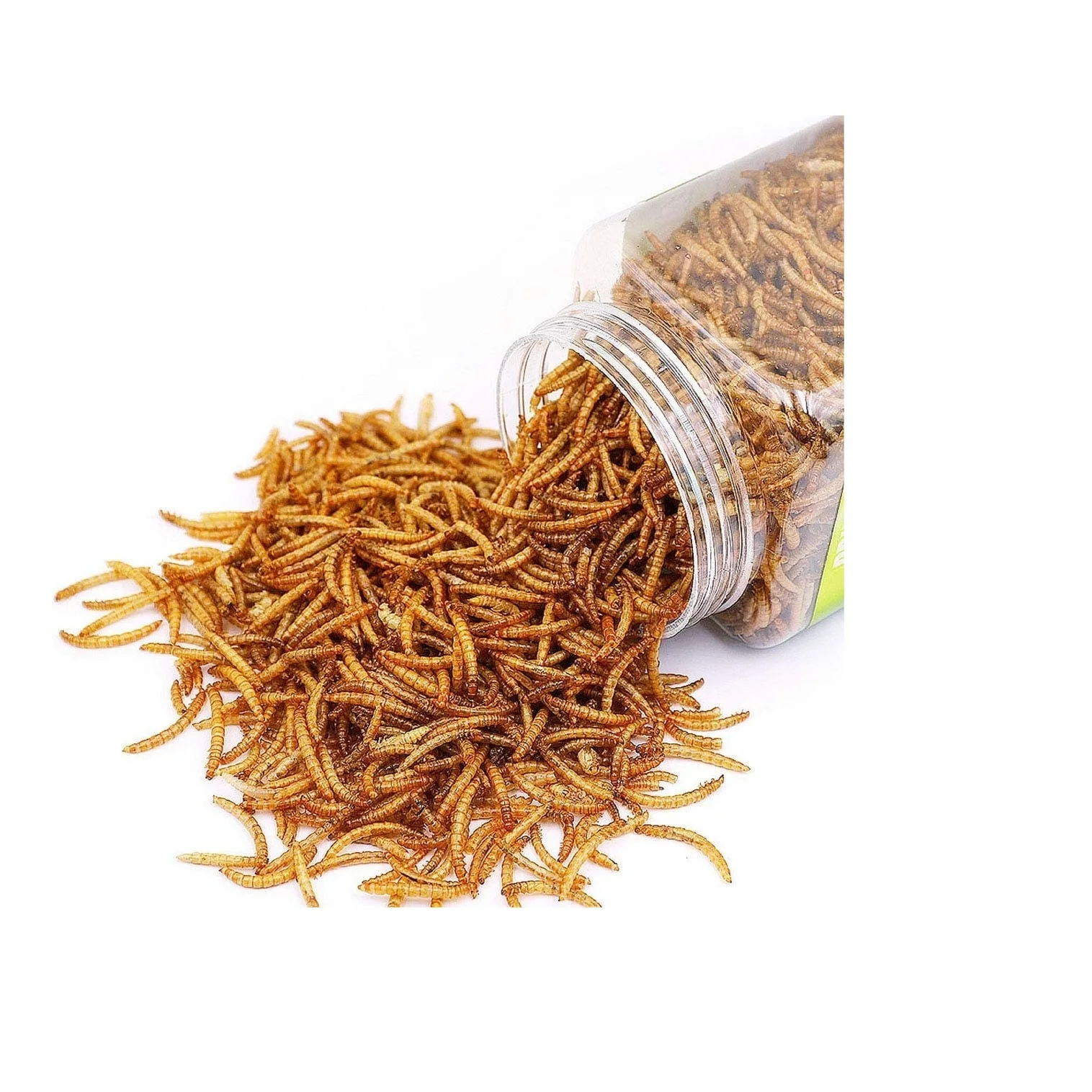 Professional manufacturer mealworm worm Eco fresh mealworm worm fish bird snack food dried mealworms