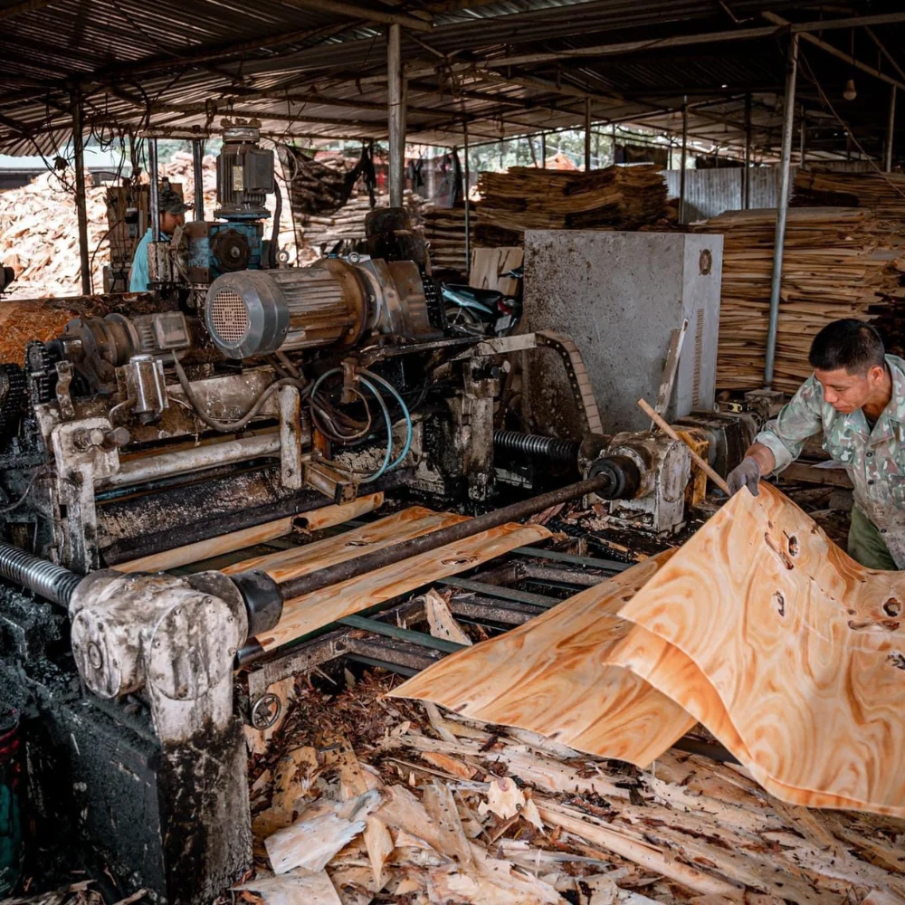 Unfinished Rectangular Wood Boards ARACIA WOOD PEELED BOARD from Viet Nam