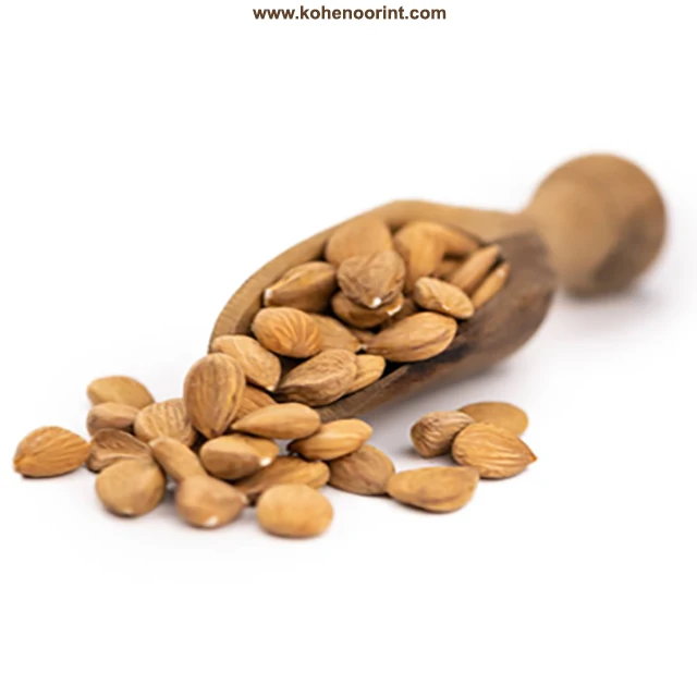 Apricot Kernels ~ Prunus armeniaca Abrikozenpitten 15Kg and 01 Kg Bags