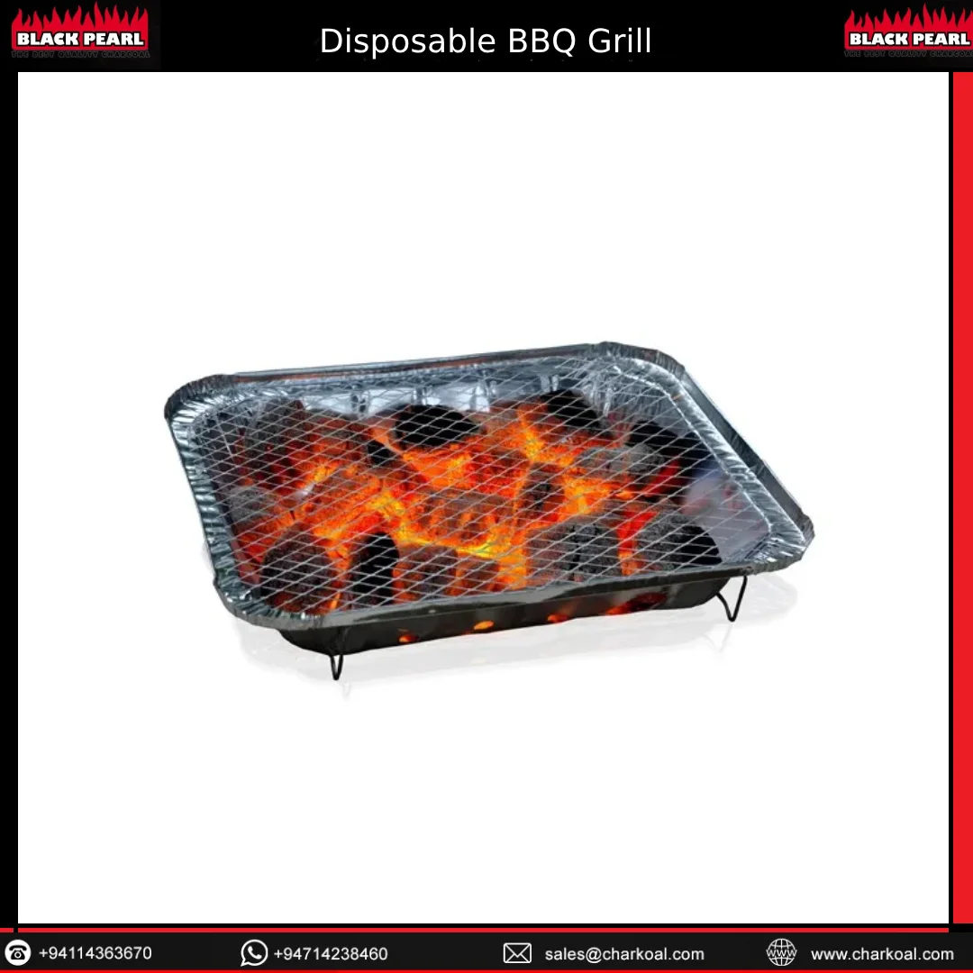 Eco-friendly 31cm * 25cm * 5 cm instant outdoor disposable barbecue picnic disposable small bbq grill