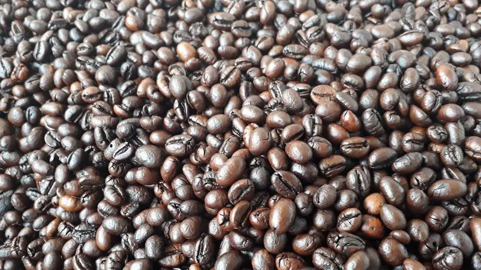 Вкусный ЖАРЕНЫЙ КОФЕ Robusta Arabica в зернах органический свежий с высококачественным темным чистым ароматом