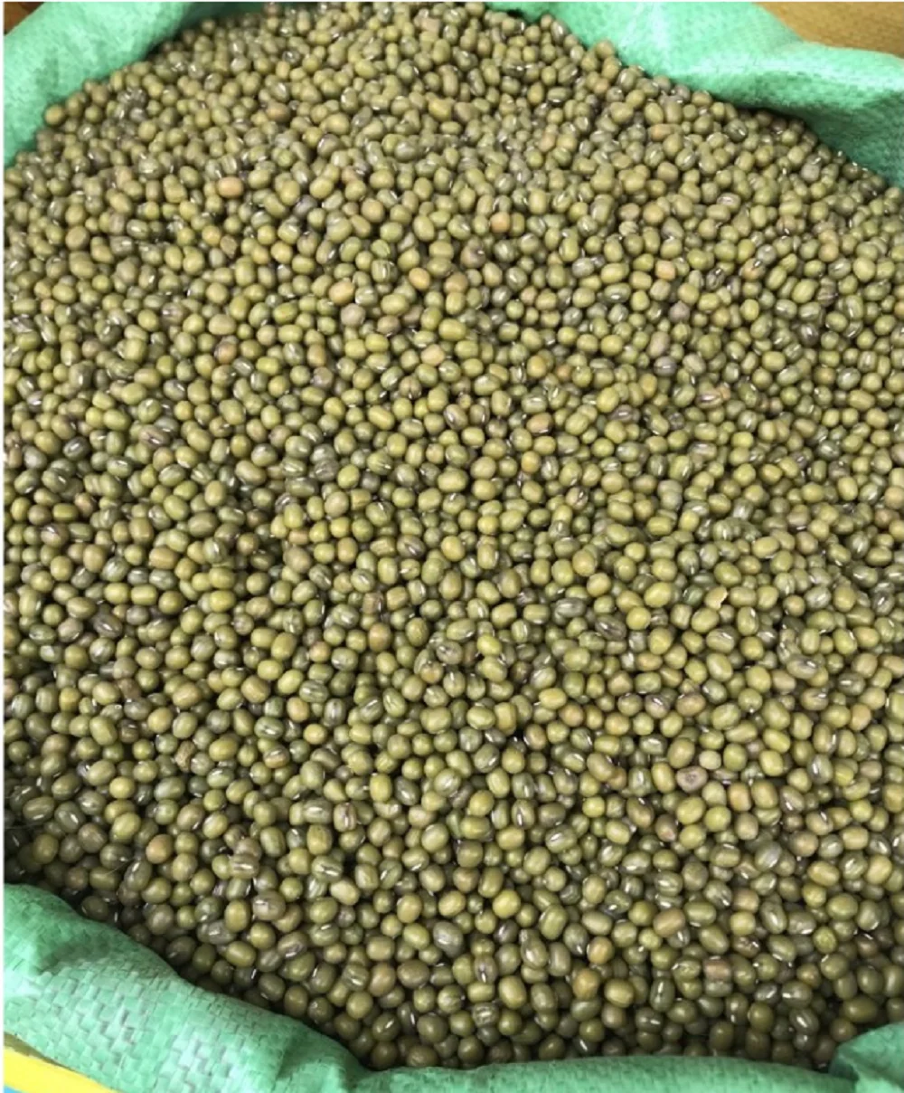 High Quality Raw Vietnam Green Mung Bean Vietnam Supplier WholesalesGood Prices New Crop In stock