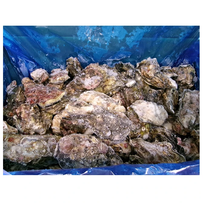 High Quality Freshwater Oysters Frozen Shelled Japanese Seafood in Box Wholesale Dishes