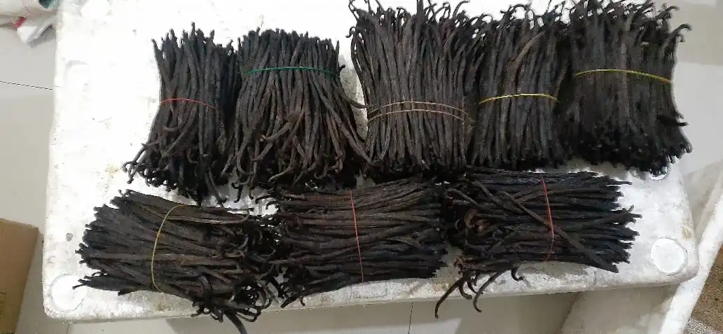 Высококачественные Ванильные бобы премиум-класса, урожай из Яванского острова, Индонезии, домашнее хозяйство и одиночные специи