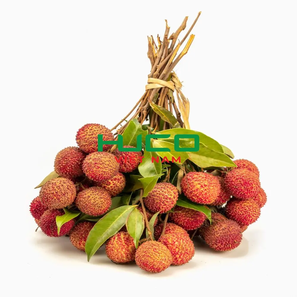 Viet Nam Fresh lychee with sweet taste Lychee 100% natural agriculture products wholesale tropical fruits origin Vietnam