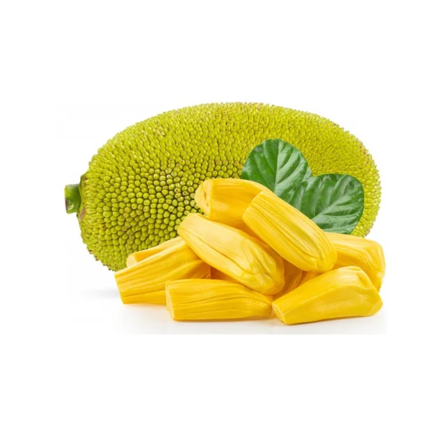 High Quality Fresh Jackfruit Wholesale Sweet Vietnamese Tropical Fruit for Eating Economically Priced