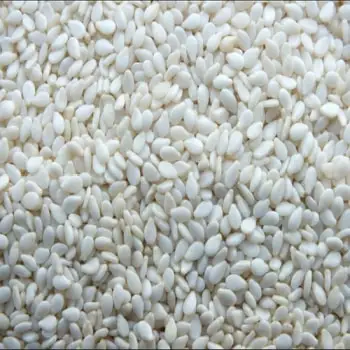 Hulled White Sesame seeds.jpg