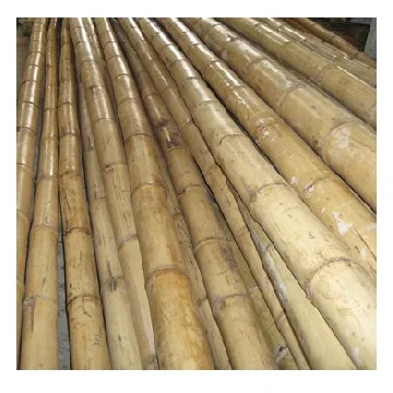 Best Quality Natural Bamboo Poles / Bamboo Canes/ Stakes for Agriculture Planting