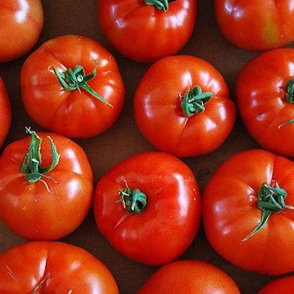 good tomato crimson cocktail for sale