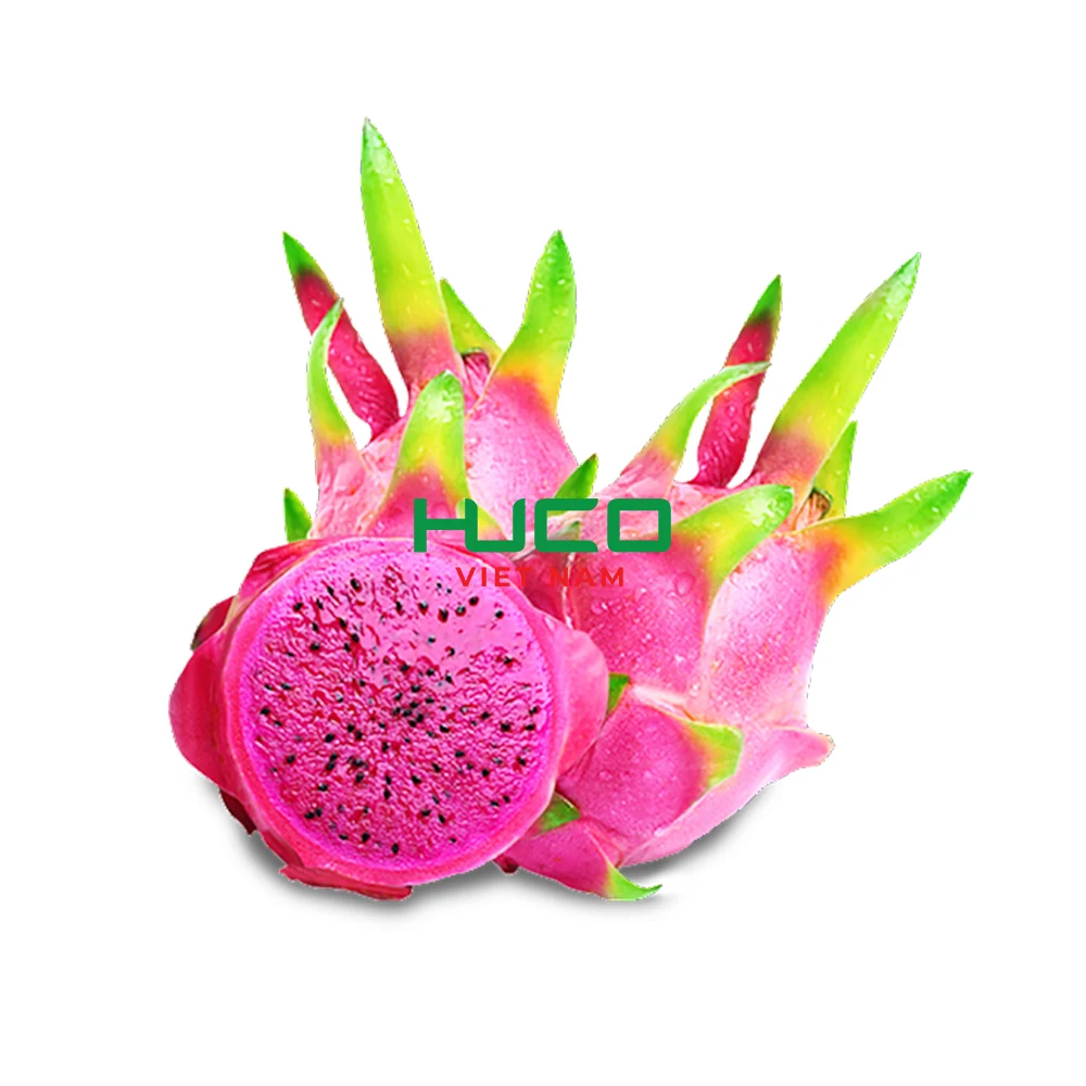 Fresh Red Dragon Fruit Dice / Wholesale Fresh Red Pitaya Vietnam