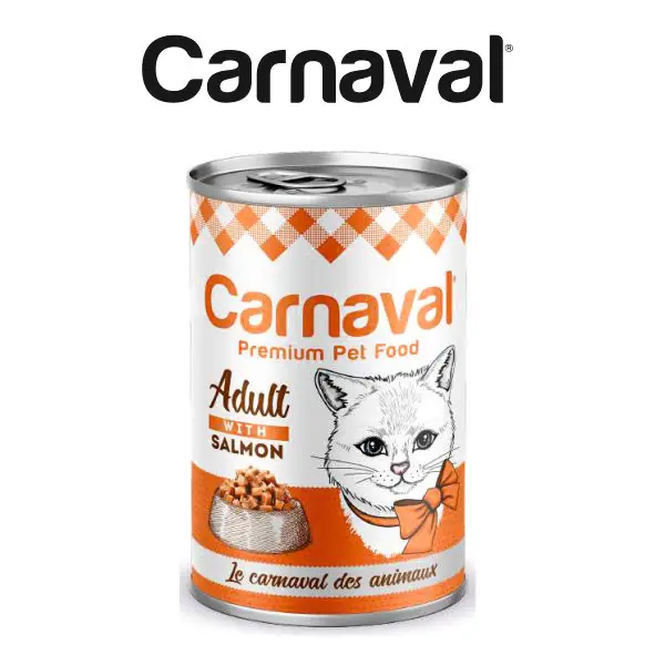 High Quality and Super Clumping bentonite Cat Litter Unscented For Pet Cat 0,6-2,25 Mm (5 Lt)