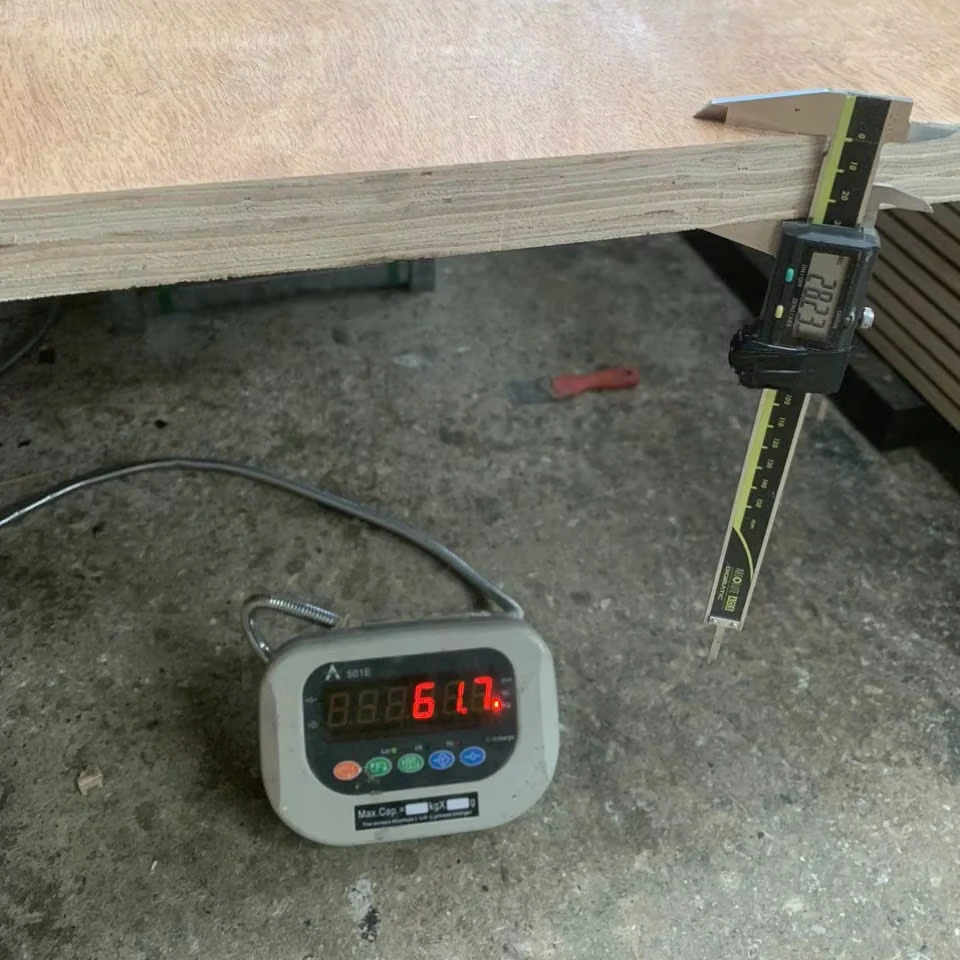 60 Kg Container Flooring Plywood