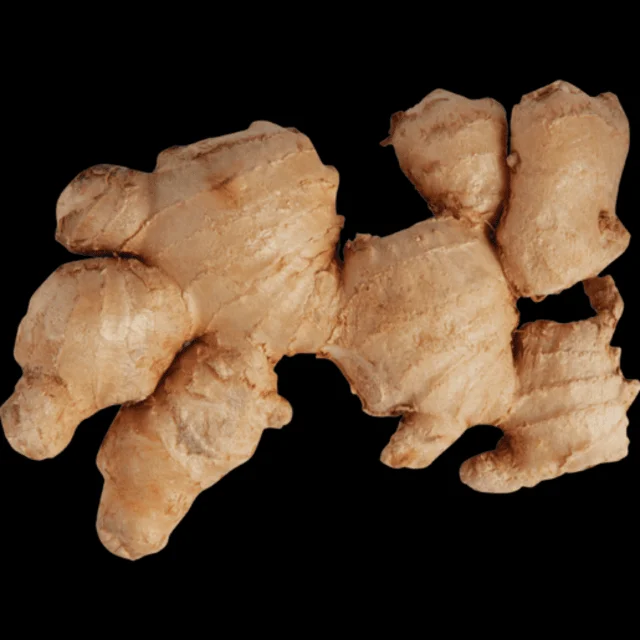 FRESH GINGER HIGH QUALITY CHEAP PRICE