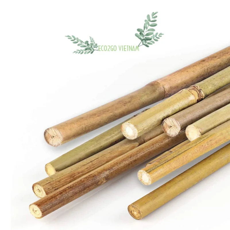 Natural Flexible Bamboo Stake Gardening/ Bamboo Cane Stick For Using Agriculture Made in Vietnam Export by Eco2go Manufacturer