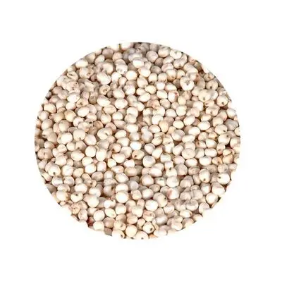 sorghum-seeds.jpg