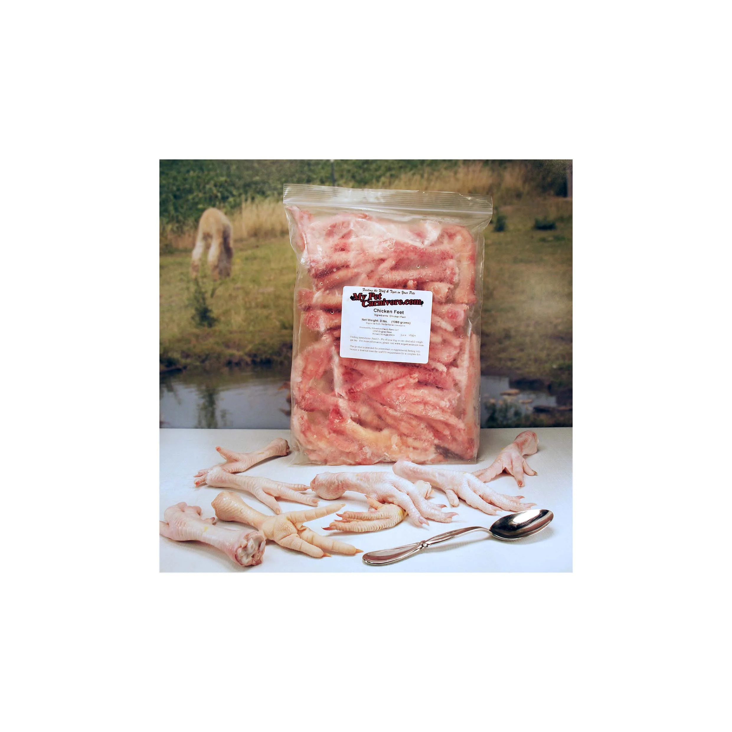 Brazil Origin Halal Frozen Whole Chicken with HACCP Certification IQF MJW Paws for Export to China