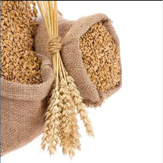 Best Selling High In Nutrients And Fiber Natural Wheat Grain Wheat Grain Bulk Buy Wheat Grains