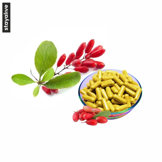 Hot Selling Natural Supplement Berberine Capsules  | Plant Extract Supplement  | OEM Private Label