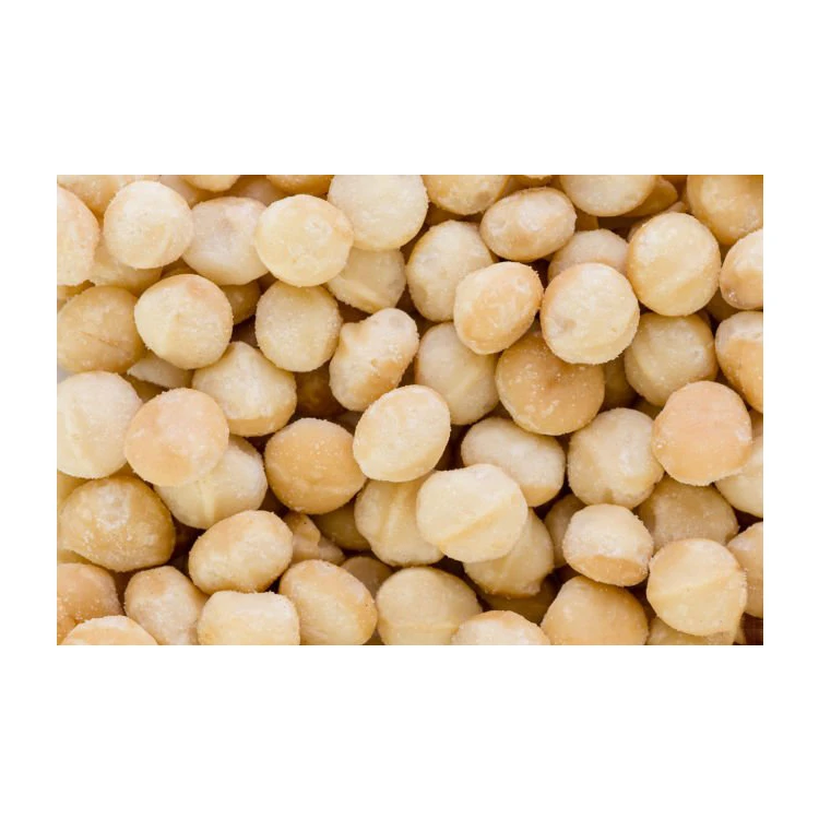 Good Selling Cost Effective Mozambican Raw Roasted Macadamia Nuts