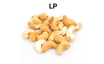Raw Cashew Nut Kernel of All Sizes 100% High Quality Cashew Nut Raw Material from a Good Quality Factory Vietnam