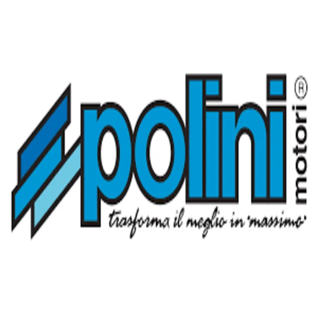 Polini Clutch 249.016  (d.135 - gr.1319 ) Made In Italy  Race  For Honda Sh 125/150 Foresight 250 Agility