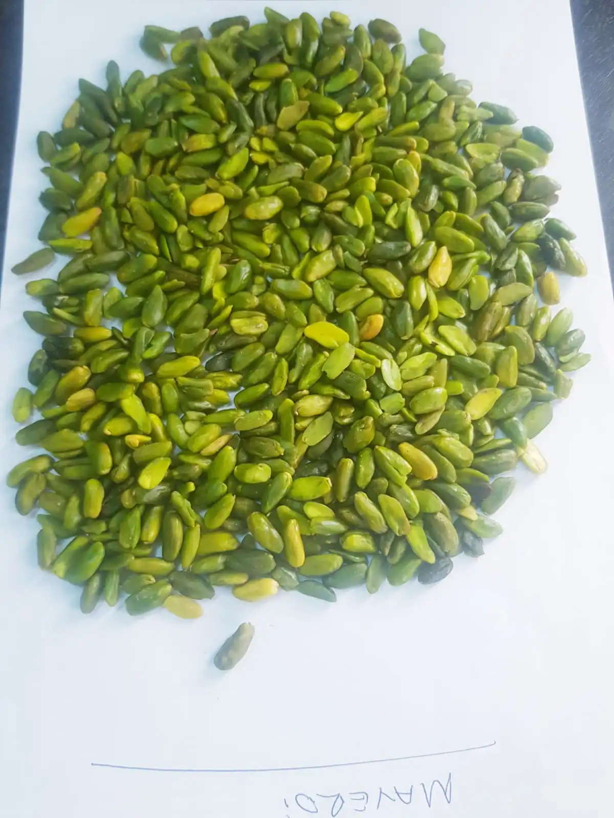 Bulk New Harvest Best Quality -Shelled Roasted and Salted Pistachio Nuts - FROM TURKEY