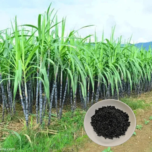 hot sale 100% water soluble organic fertilizer potassium humate granule