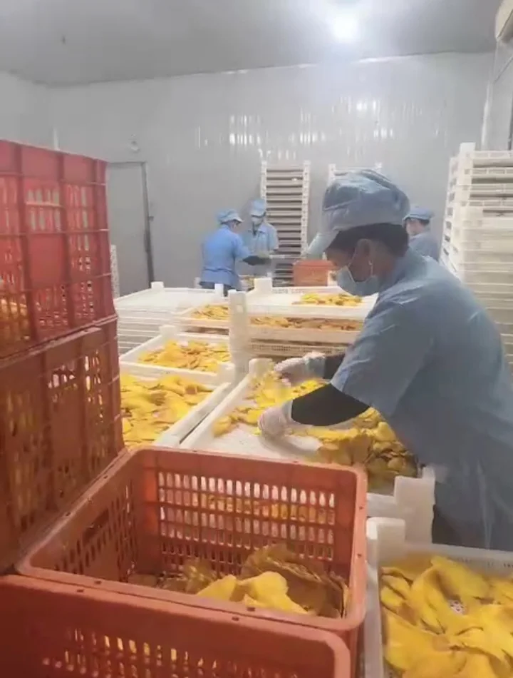 Cheap Cheap Cheap* SOFT DRIED MANGO - Cat Chu, Hoa Loc VIETNAM