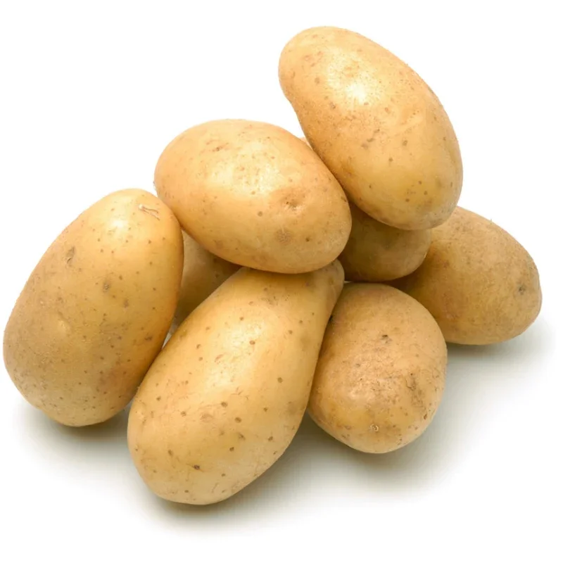 1678114276136[1].png