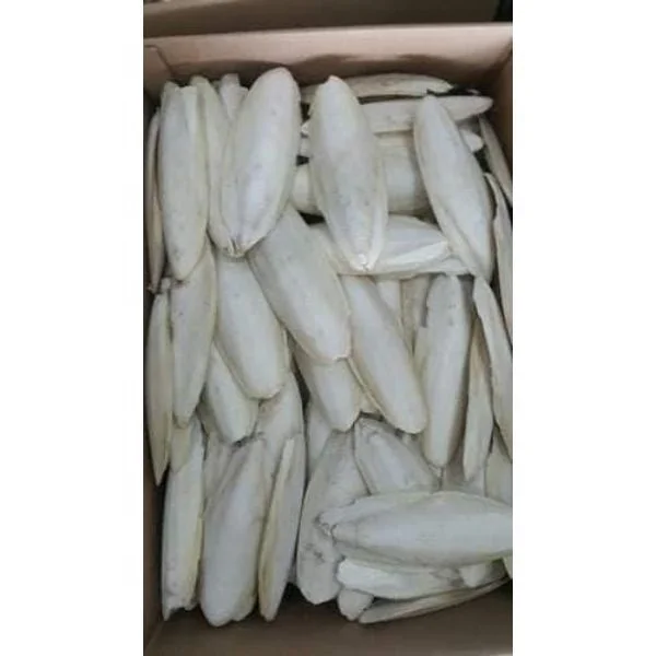 Dried Cuttlefish Bones available to sale