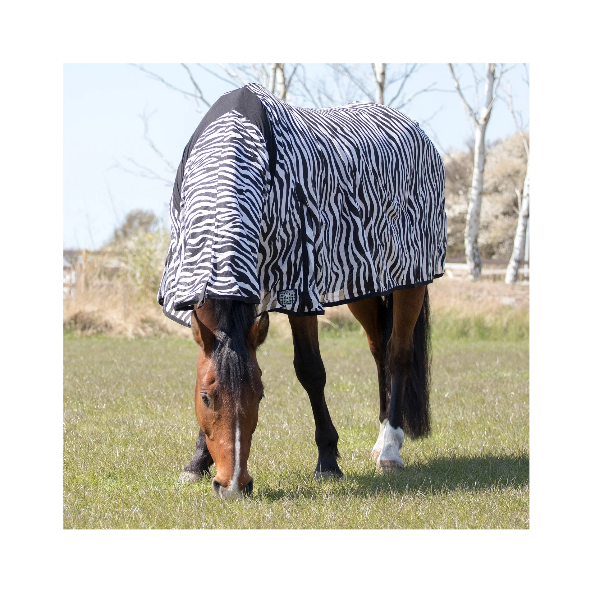 Zebra Horse Rugs blankets Zebra Pattern Horse blanket Price Rugs (Blanket)  Cost Effective and Reasonable
