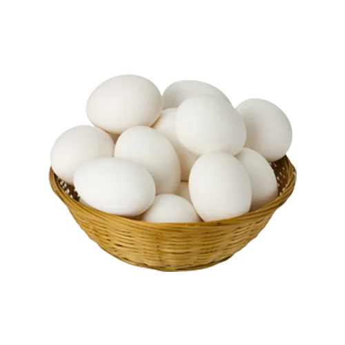 FRESH TABLE EGGS WHITE AND BROWN SMALL MEDIUM AND LARGE SIZES HALAL FROM ORIGIN TURKEY