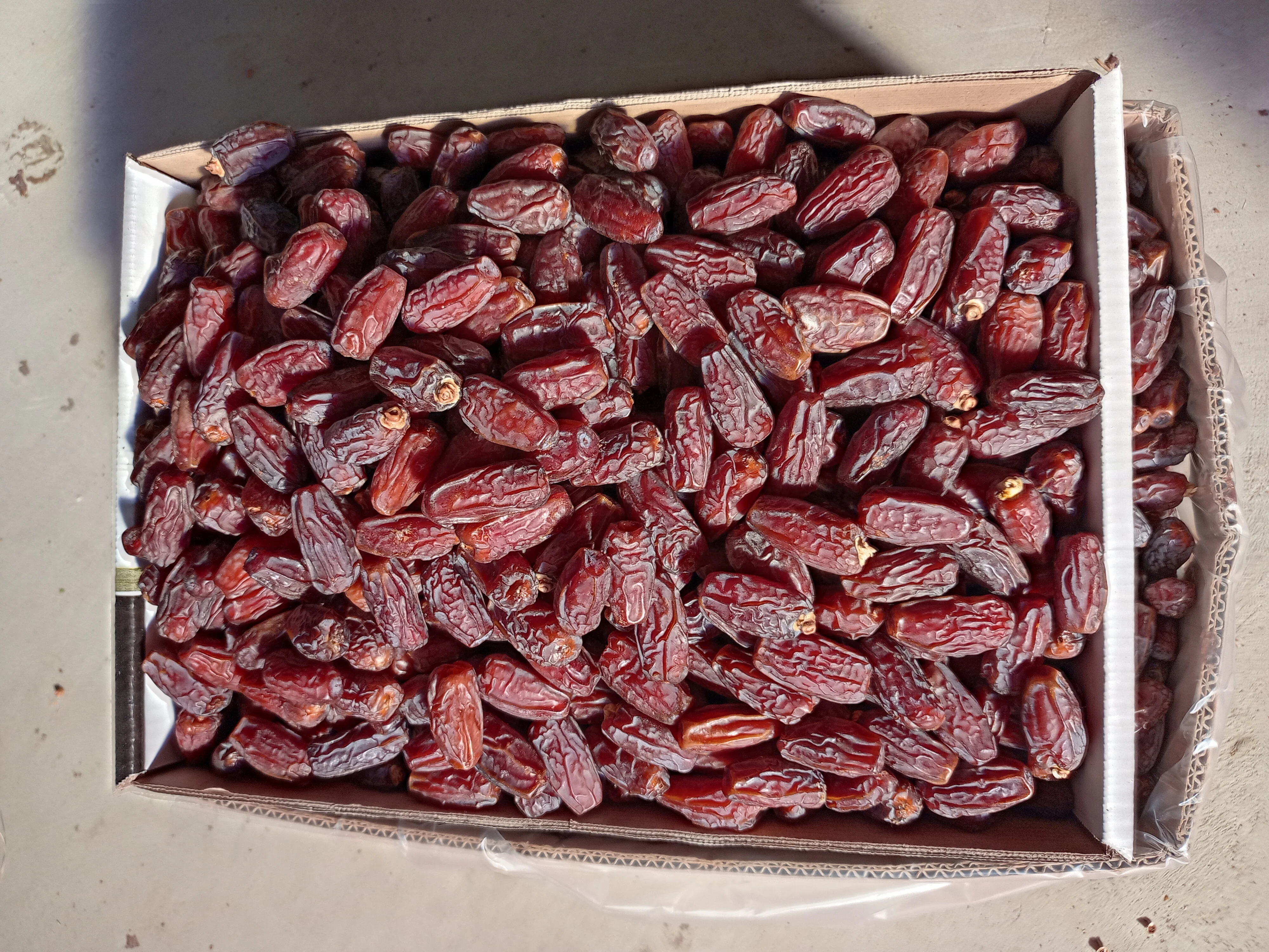 Yezao Top supplier of dates to global market Mabroom dates Saudi Dates available 5 kg packing and 24 kg packing box Ye zao