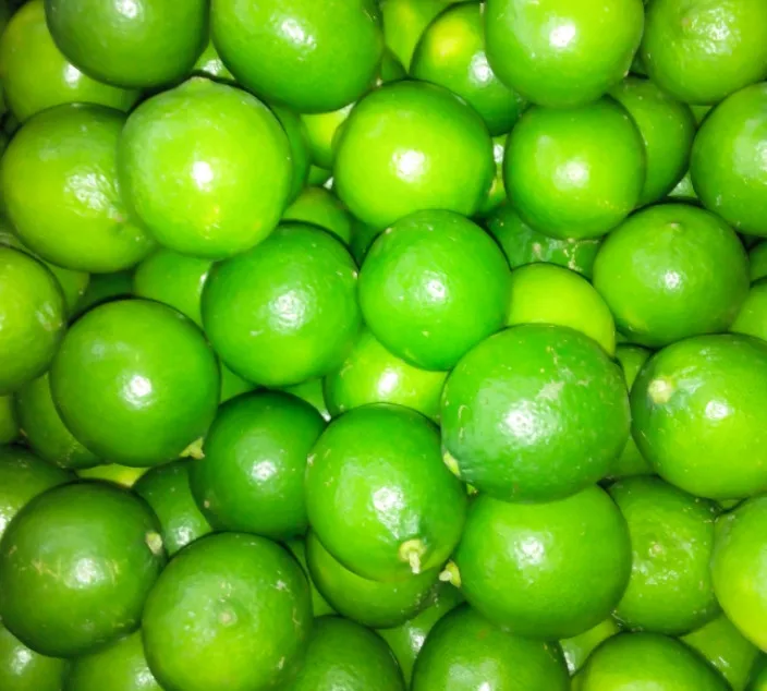 Lemon does not seeds lime without seed from Viet Nam, 100% tax free