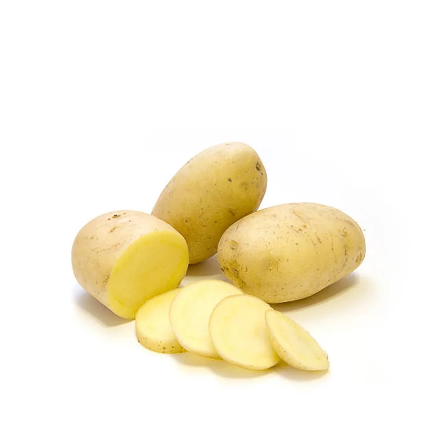 Fresh White Potato from Pakistan export quality white skin potato cheap price potato with customized packing