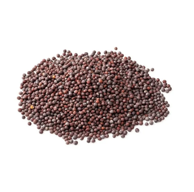 Rapeseed Meal Extract Nutri Seed Meal Gold Protein Max Feed ProSeed Power Golden Nutrition Feed
